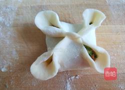 花开四季 蔬菜虾仁蒸饺的做法图解10