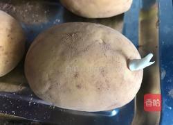 土豆馒头的做法图解9