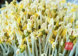 是不是可以自己在家发绿豆芽儿 坐等绿豆发芽的做法图解12