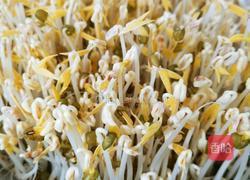 是不是可以自己在家发绿豆芽儿 坐等绿豆发芽的做法图解13