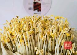 是不是可以自己在家发绿豆芽儿 坐等绿豆发芽的做法图解14