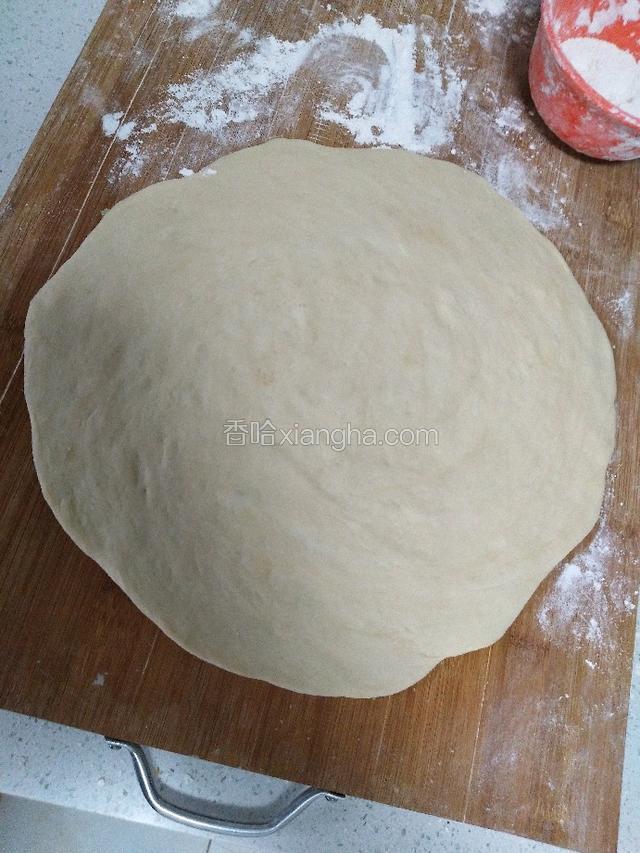 自制的披萨饼一个