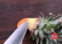 水果拼盘(鹦鹉菠萝凤梨)的做法图解11
