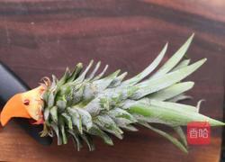 水果拼盘（鹦鹉菠萝凤梨）的做法图解14