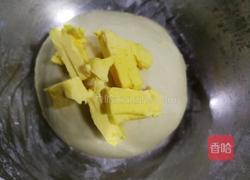 椰蓉叶子软欧(波兰种)的做法图解4