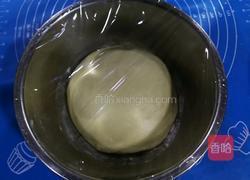 椰蓉叶子软欧（波兰种）的做法图解6