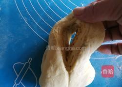 椰蓉叶子软欧（波兰种）的做法图解17