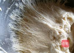 椰蓉叶子软欧（波兰种）的做法图解12