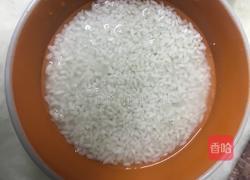 蒸红枣花生糯米饭的做法图解4