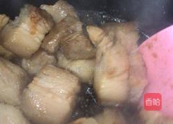 野葱焖肉的做法图解6