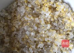 健脑双色蒸饭的做法图解4