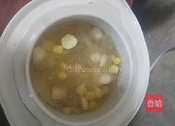 银耳火龙果羹的做法图解7