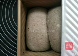 黑芝麻黑米吐司面包的做法图解9