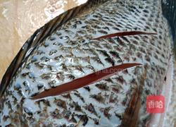  ＃蒸菜＃清蒸罗非鱼的做法图解5