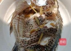  ＃蒸菜＃清蒸罗非鱼的做法图解9