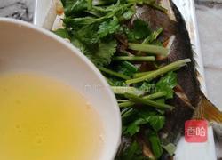 ＃蒸菜＃清蒸金鲳鱼的做法图解11