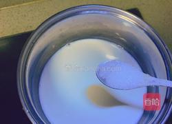 木瓜牛奶冻的做法图解3