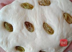 蒸馒头的做法图解13