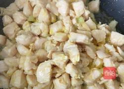 咖喱鸡胸肉炖土豆的做法图解4