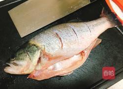 清蒸鲈鱼的做法图解2