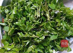 凉拌簕菜（苦刺藤）的做法图解2
