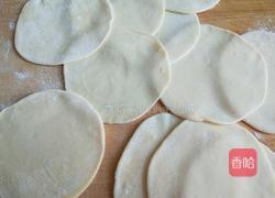 新文美食 蝴蝶蒸饺的做法图解5