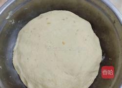 蕃薯馒头的做法图解5