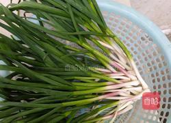 素饺子馅的做法图解2