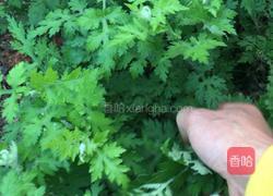 艾香茄子的做法图解1