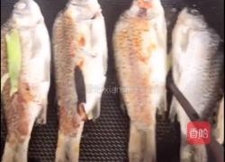 野生鲫鱼豆腐汤的做法图解5