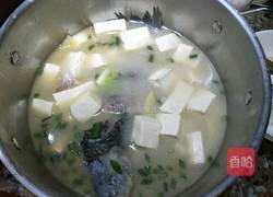 鲫鱼豆腐汤的做法图解6