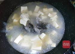鲫鱼豆腐汤的做法图解4