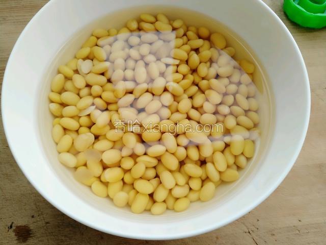 黄豆提前一晚泡发倒掉水待用