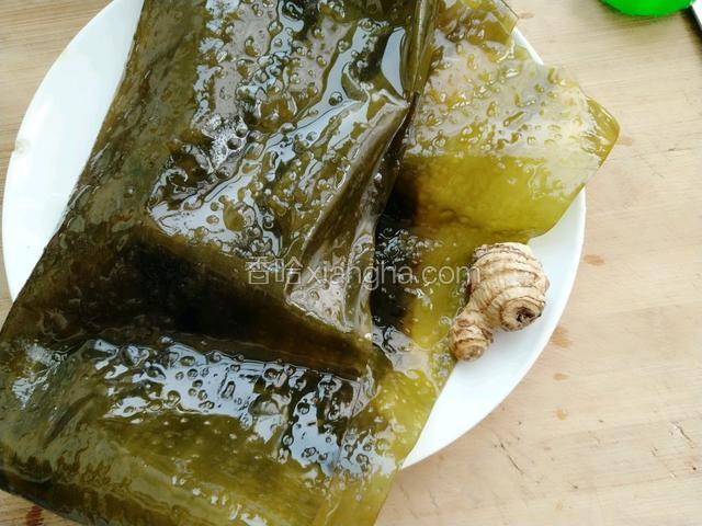 准备泡发好的海带和生姜