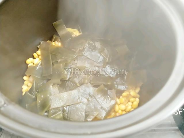 把炒好的海带放入砂锅内