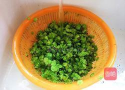 榆钱炒鸡蛋的做法图解2