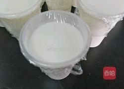 自制酸奶的做法图解3