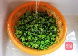 蒸榆钱窝窝的做法图解1