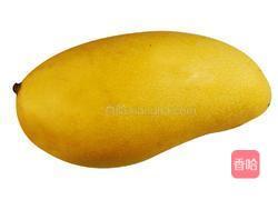 芒果果酱的做法图解1