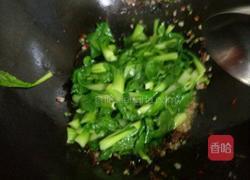 豆豉鲮鱼炒青菜的做法图解5
