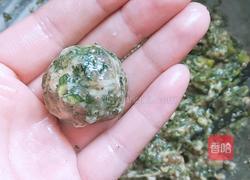 荠菜猪肉丸子的做法图解7