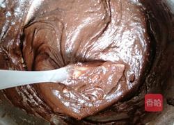 自制趣多多的做法图解5