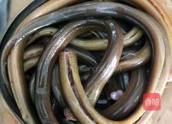 爆炒野生黄鳝的做法图解3
