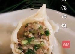 芹菜猪肉饺的做法图解8