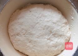 荠菜鲜肉煎包的做法图解2