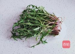 蒲公英玫瑰花茶的做法图解2