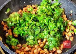 辣味榆钱炒肉的做法图解13