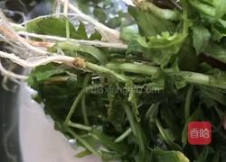 荠菜煮蛋的做法图解1