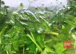 凉拌菠菜粉条的做法图解2