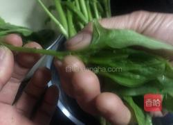 花生拌菠菜梗的做法图解2